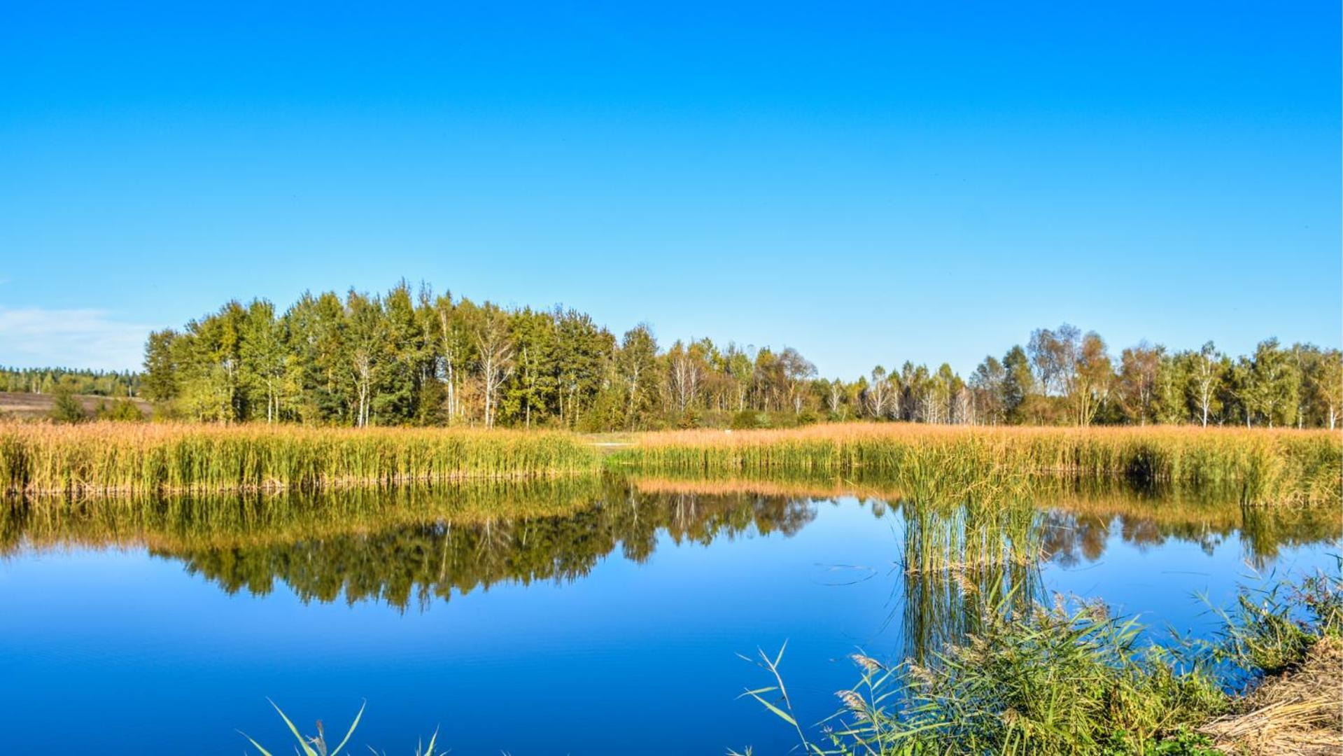 Sherwood Lake Hotel Berezovka  Εξωτερικό φωτογραφία